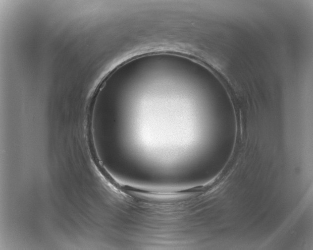 X0000066941500200603241128