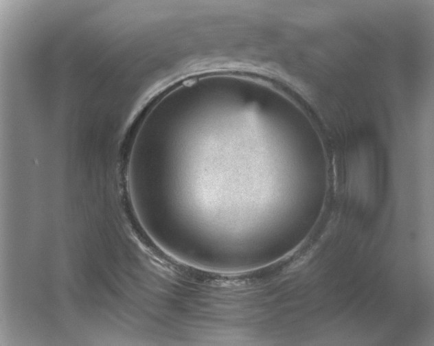 X0000066941501200603241128