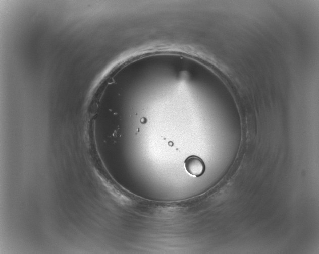 X0000066941502200603241128