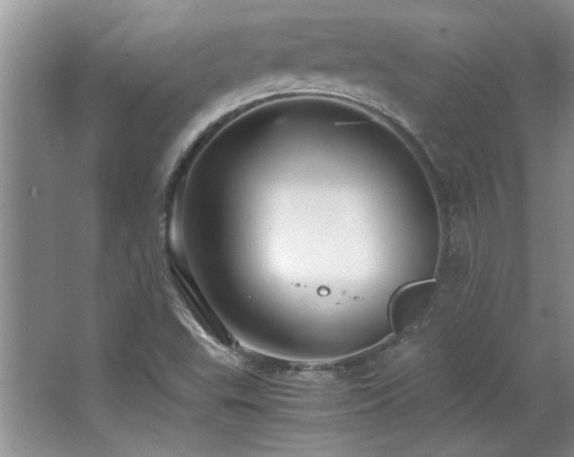 X0000066941503200603241128