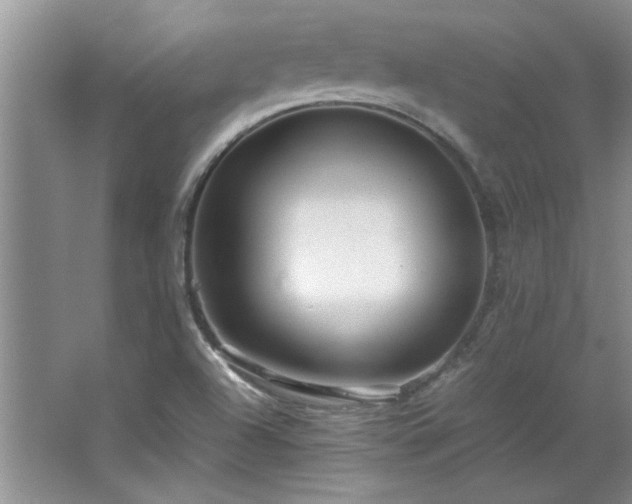 X0000066941504200603241128