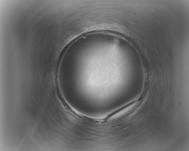 X0000066941505200603241128