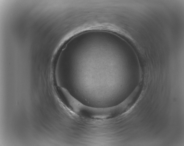 X0000066941506200603241128