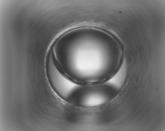 X0000066941508200603241128