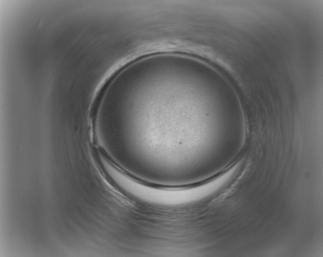 X0000066941509200603241128