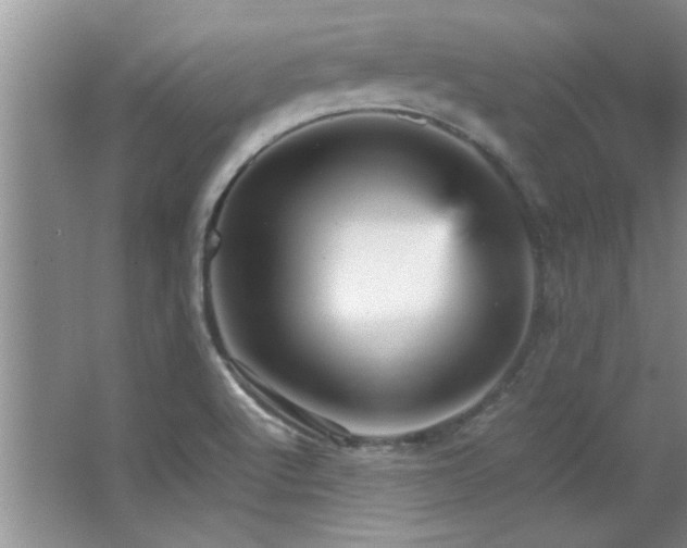 X0000066941512200603241128