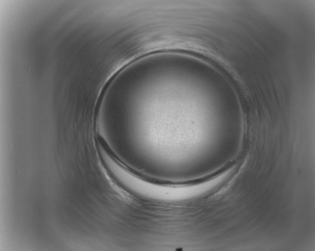 X0000066941513200603241129