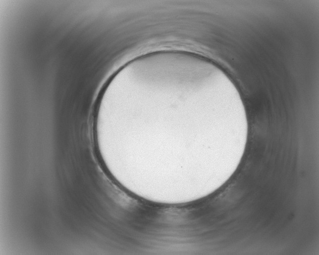 X0000066941514200603241129