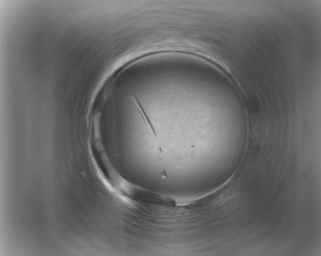 X0000066941515200603241129