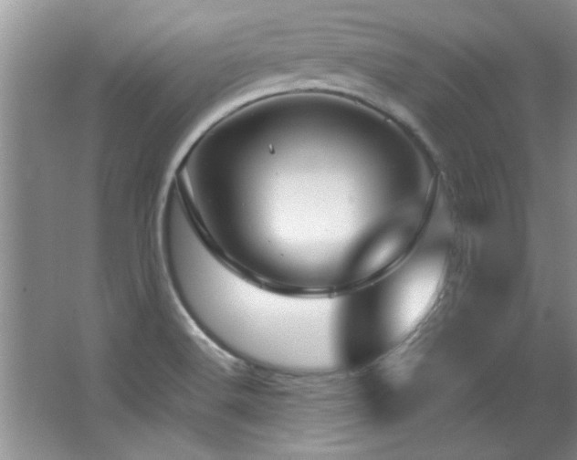 X0000066941516200603241129