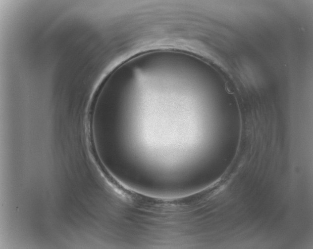 X0000066941517200603241129