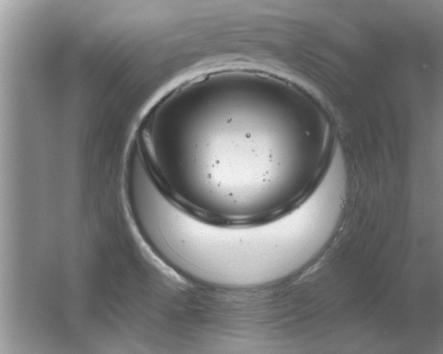 X0000066941518200603241129