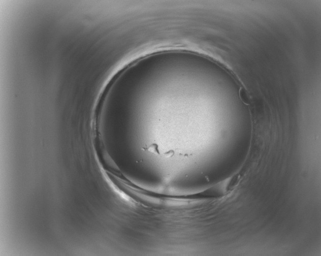 X0000066941519200603241129