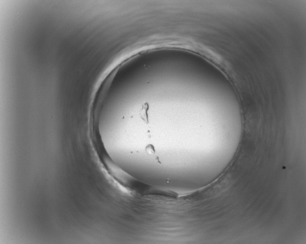 X0000066941520200603241129