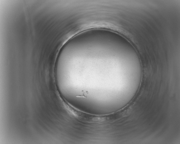 X0000066941521200603241129