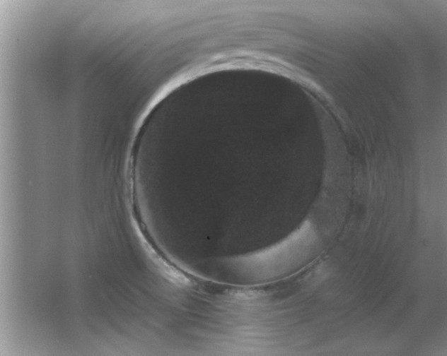 X0000066941522200603241129