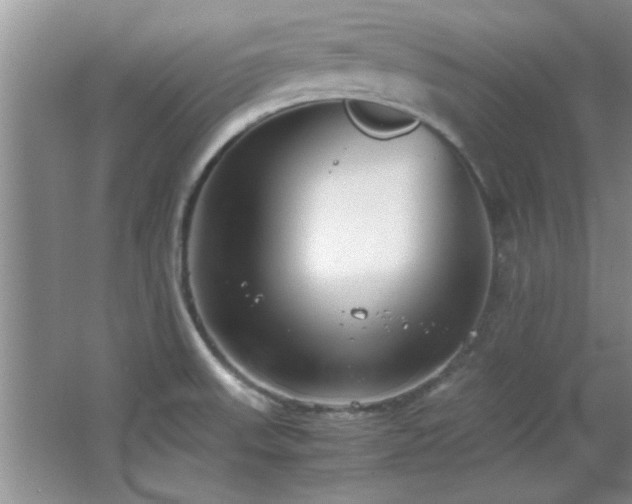 X0000066941523200603241129