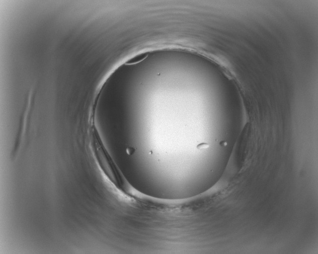 X0000066941524200603241129