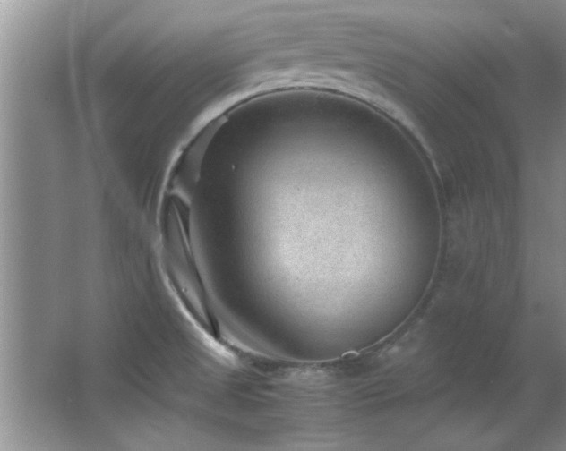 X0000066941525200603241129