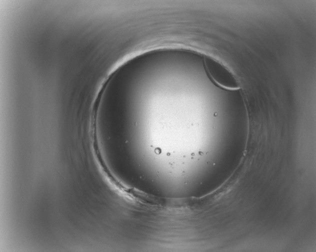 X0000066941526200603241129