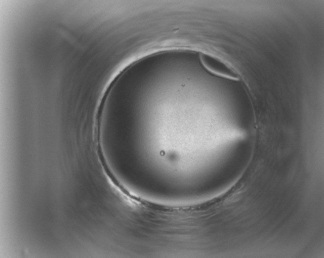 X0000066941527200603241129