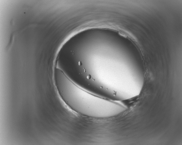 X0000066941528200603241129