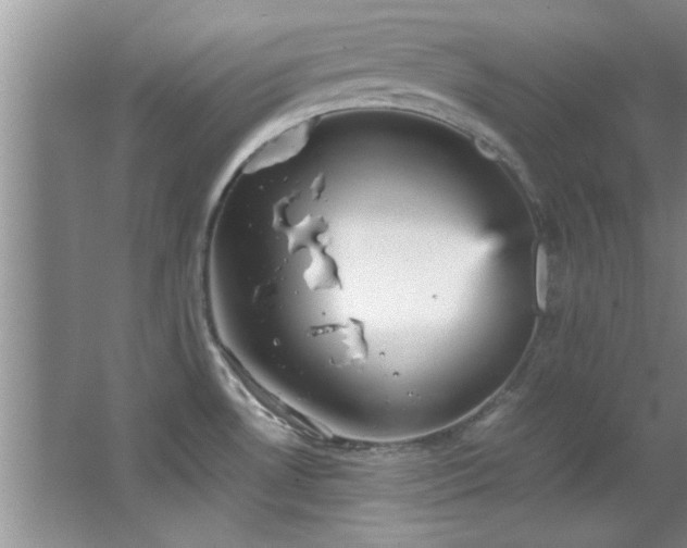 X0000066941530200603241129