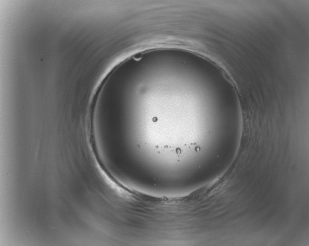 X0000066941531200603241129