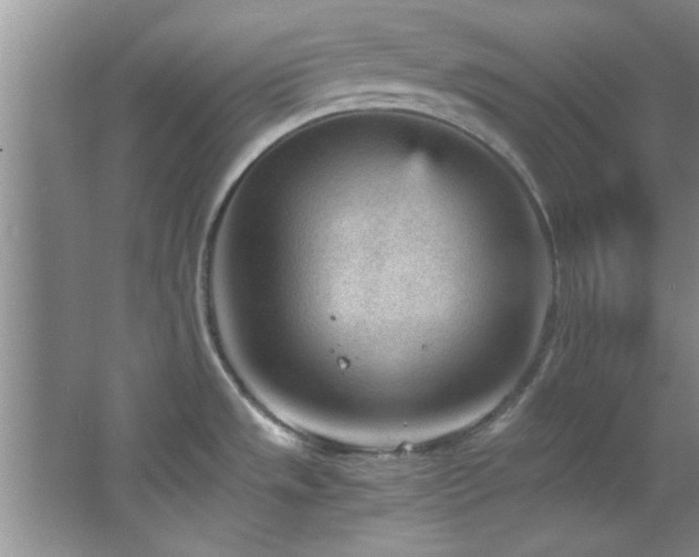 X0000066941533200603241129