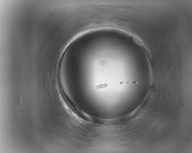 X0000066941534200603241129