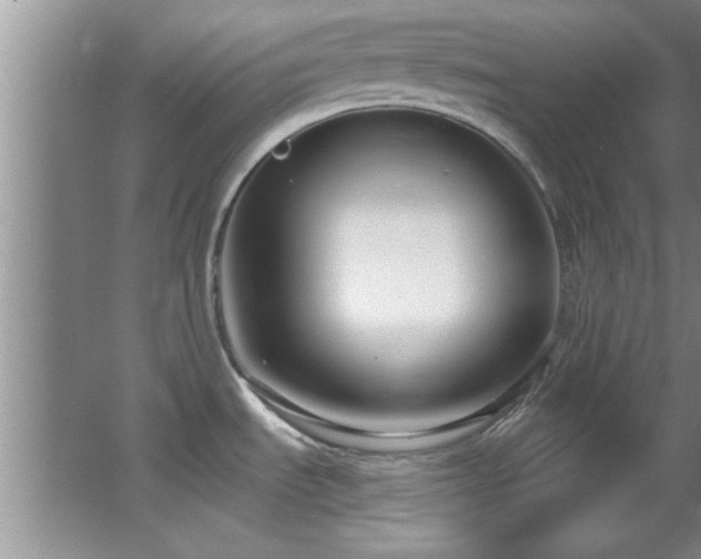 X0000066941535200603241129