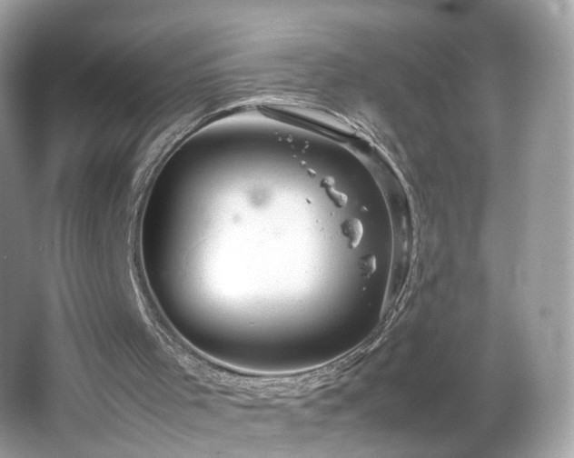 X0000066940001200603271149