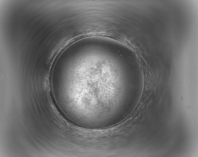 X0000066940002200603271149