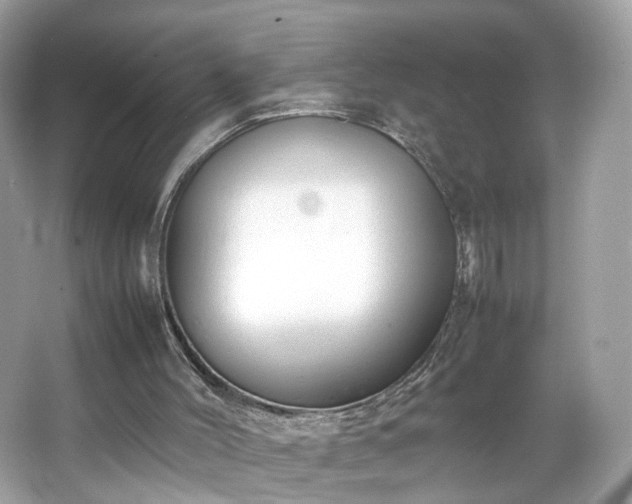 X0000066940004200603271149