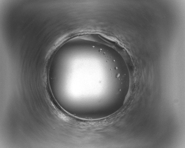 X0000066940005200603271149