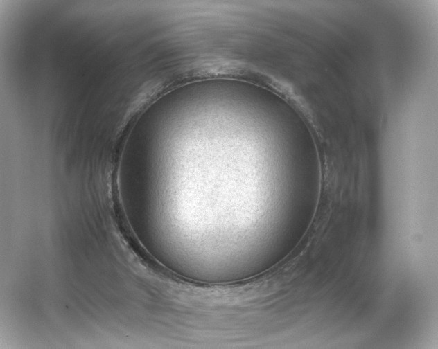 X0000066940010200603271149