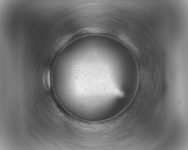 X0000066940014200603271149