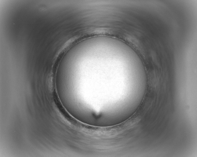 X0000066940016200603271149