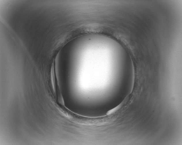 X0000066940017200603271149