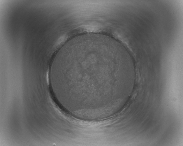 X0000066940019200603271148