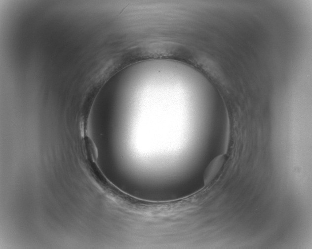 X0000066940021200603271148