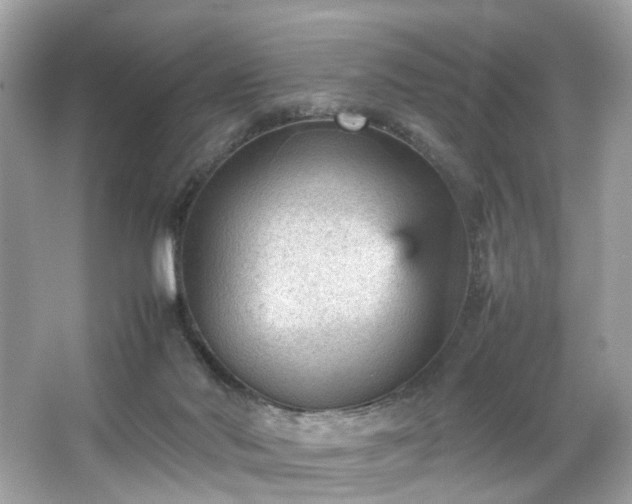 X0000066940022200603271148