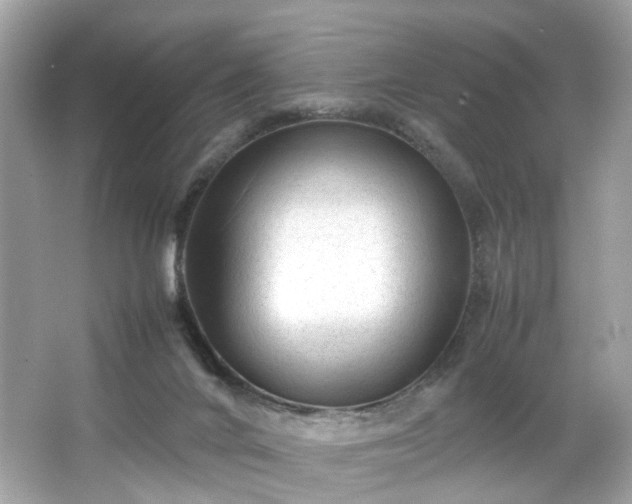 X0000066940024200603271148