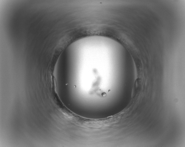 X0000066940025200603271148