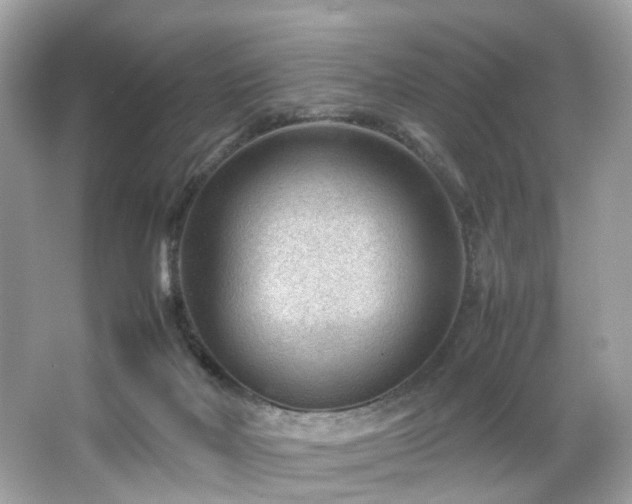 X0000066940026200603271148