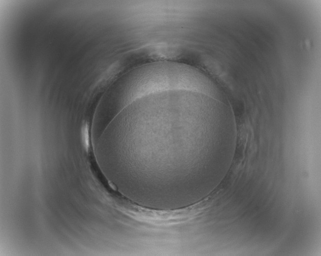 X0000066940027200603271148