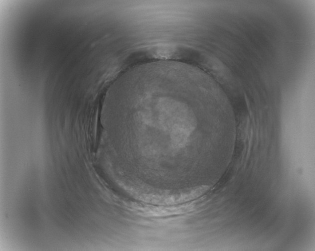 X0000066940031200603271148