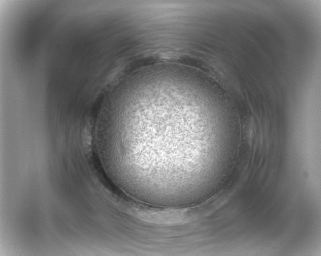 X0000066940032200603271148