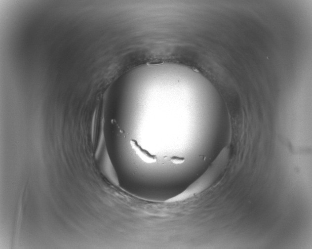 X0000066940033200603271148