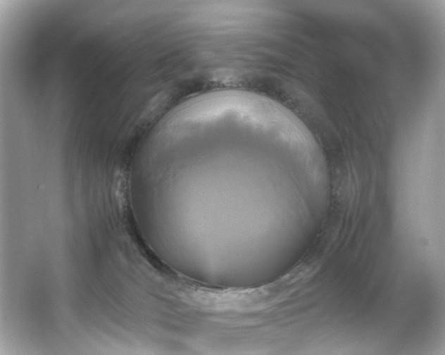 X0000066940036200603271148